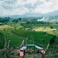 Citol Hill merupakan sebuah bukit yang berada di Desa Tondok Bakaru, Kecamatan Mamasa, tepatnya di kaki Gunung Mambuliling. (Liputan6.com/ Abdul Rajab)