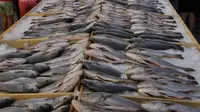 Sejumlah ikan yang dikumpulkan anggota dari Lebanon's Batroun Traders Association berhasil memecahkan rekor makanan laut terbanyak di daerah kota pantai Batroun, Minggu (4/9). Menurut panitia, total ikan yang dikumpul 2 ton 614 kg. (AFP PHOTO/Anwar AMRO)