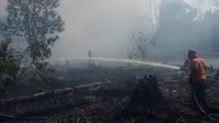 Proses pemadaman kebakaran lahan gambut di Kota Dumai. (Liputan6.com/M Syukur)