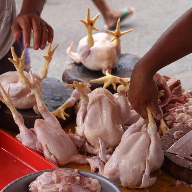 Meski Harga Meroket Permintaan Ayam Di Tulungagung Makin Tinggi Surabaya Liputan6 