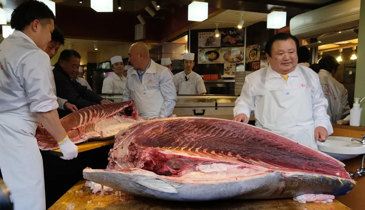 Pekerja restoran susi ternama Jepang memotong ikan tuna sirip biru seberat 278 kg di restoran mereka, Tokyo, Sabtu (5/1). Ikan tuna raksasa itu telah memecahkan rekor penjualan tertinggi, dengan dibeli seharga $ 3,1 juta (Rp43,4 miliar). (Kazuhiro NOGI/AF