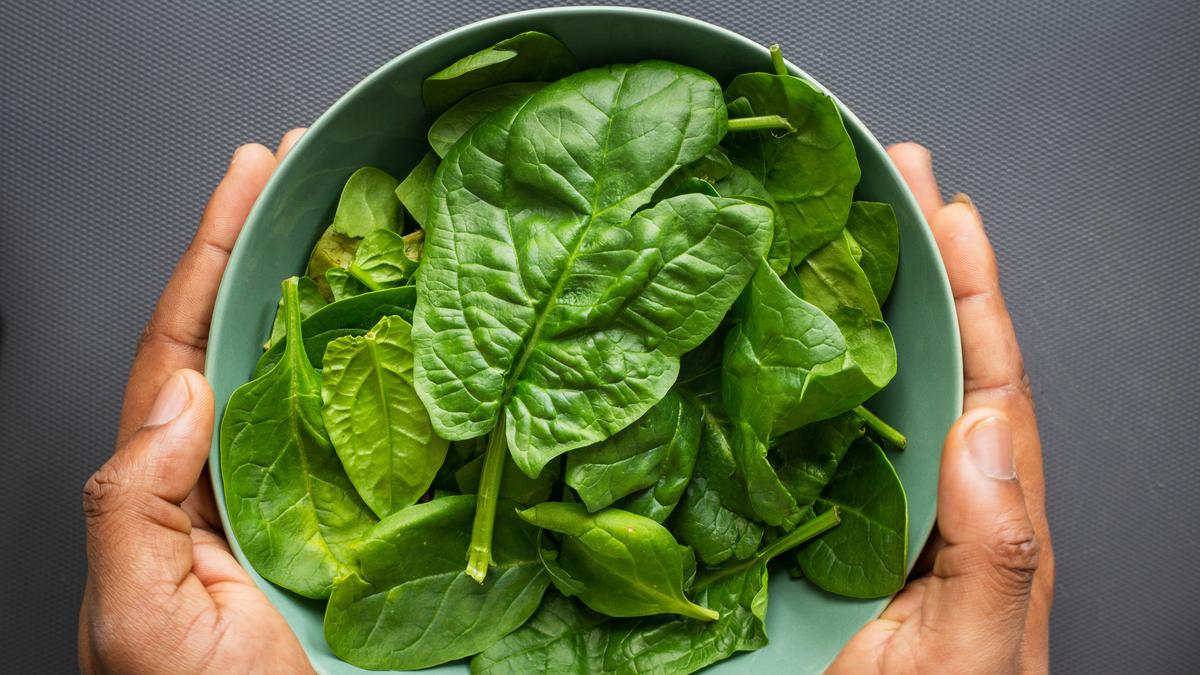 Benarkah Sayur Bayam Tidak Boleh Dipanaskan? Ini Faktanya