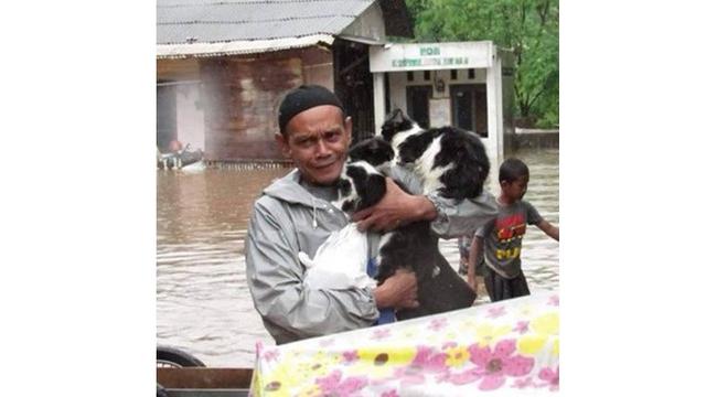 Potret Evakuasi 6 Kucing saat Banjir Ini Bikin Haru