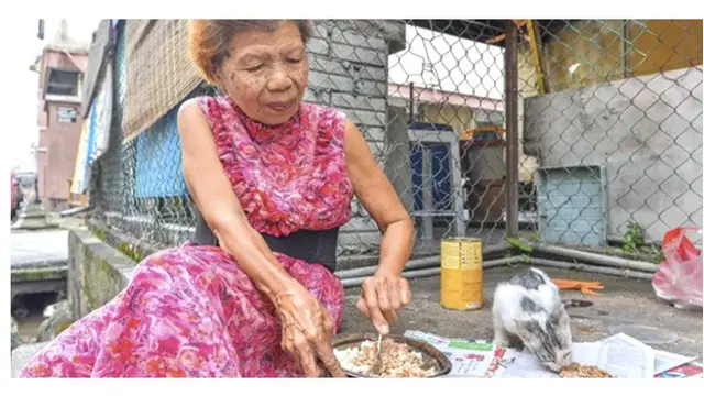 Nenek beri makan hewan liar
