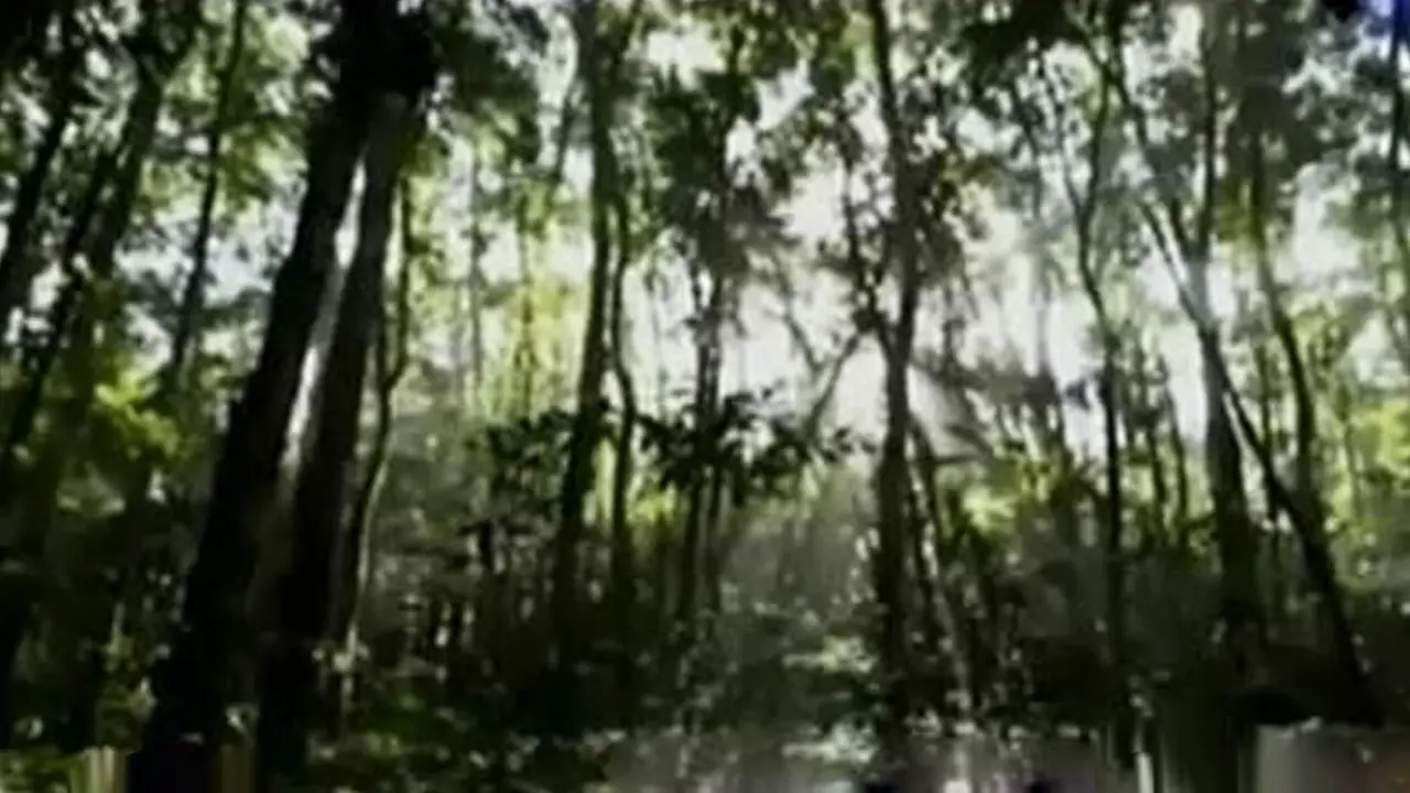 VIDEO: UNESCO Tetapkan Kawasan Blambangan Jadi Cagar Biosfer