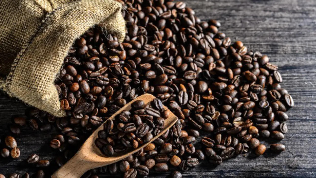 Biji Kopi
