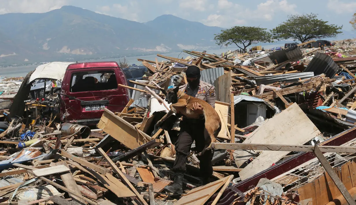 Polisi menggendong anjing K9 saat mencari korban di antara puing bangunan usai gempa dan tsunami menerjang Palu, Sulawesi Tengah, Rabu (3/10). Anjing K9 dikerahkan untuk mengendus keberadaan korban yang tertimbun reruntuhan. (AP Photo/Tatan Syuflana)