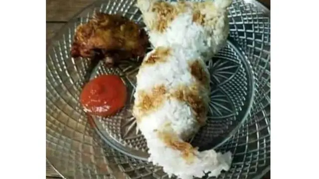 6 Nasi Bentuk yang Nyeleneh Ini Bikin Geleng Kepala, Kocak