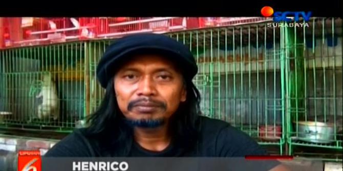 VIDEO: Mendulang Untung dari Hobi Memelihara Musang di Surabaya