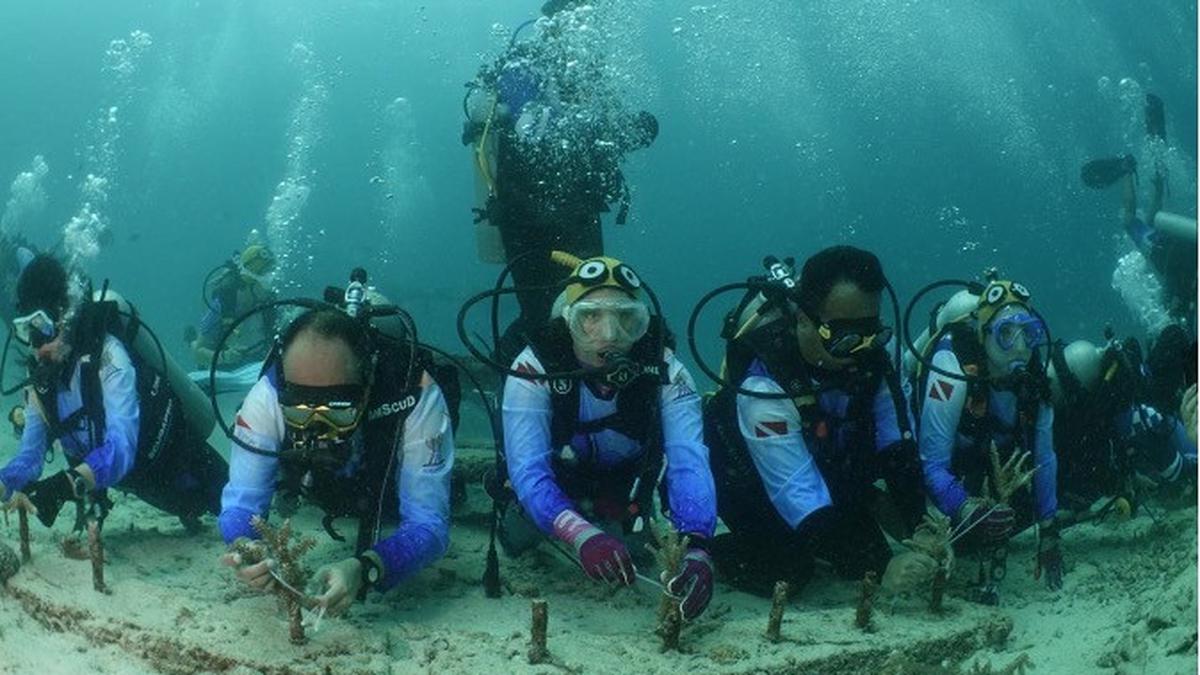 Pulihkan Ekosistem Wisata Laut, Pekerja BRI Lakukan Transplantasi Terumbu Karang di Perairan Kepulauan Sabang