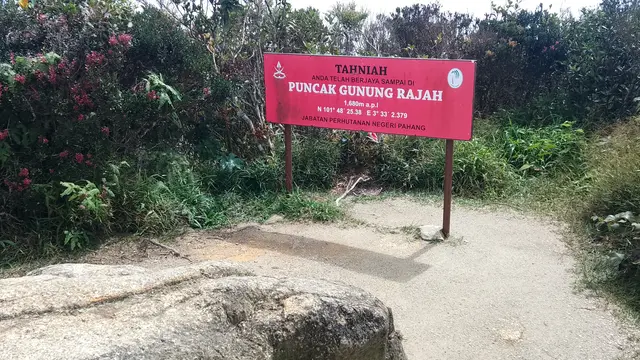 Puncak Gunung Rajah, Malaysia. (Dok: Gunung Bagging https://www.gunungbagging.com/rajah/nggallery/page/2)
