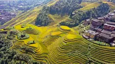 Foto dari udara yang diabadikan pada 12 Oktober 2020 ini menunjukkan pemandangan sawah terasering Longji di Wilayah Longsheng, Daerah Otonom Etnis Zhuang Guangxi, China selatan. (Xinhua/Wu Shengbin)