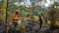 Kebakaran Hutan Gunung Semeru, 170 Pendaki di Ranu Kumbolo Dievakuasi