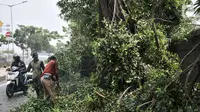 Petugas Suku Dinas Kehutanan Jakarta Timur menebang pohon lebat yang berada di pinggir Jalan I Gusti Ngurah Rai, Jakarta, Rabu (25/7). Penebangan pohon juga untuk membersihkan ranting yang menutupi rambu lalu lintas. (Merdeka.com/Iqbal Nugroho)