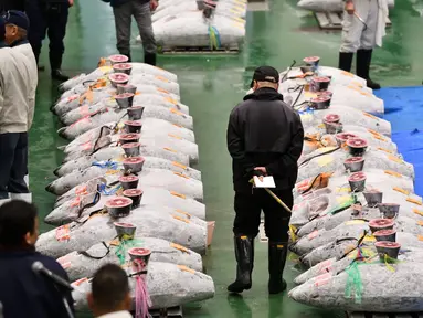 Pedagang grosir memeriksa kualitas tuna beku menjelang tradisi lelang Tahun Baru di Pasar ikan Toyosu, Tokyo, Minggu (5/1/2020). Lelang ikan ini adalah kegiatan rutin usai Tahun Baru yang biasanya diadakan menjelang fajar di pasar ikan Toyosu. (Kazuhiro NOGI / AFP)