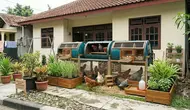 Cara Membuat Kandang Ayam Berputar dari Drum Bekas, Solusi Hemat Peternak Rumahan