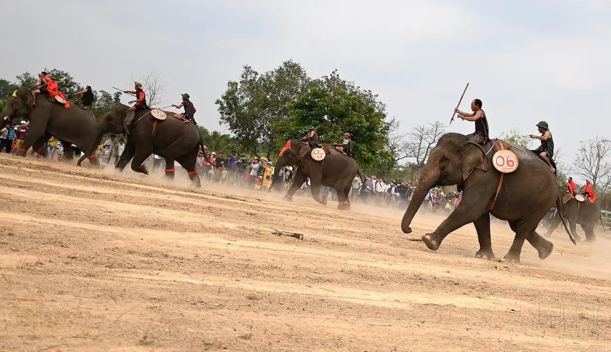 Para pawang memacu gajah mereka selama festival gajah Buon Don di Provinsi Dak Lak, Vietnam pada 12 Maret 2019. Arena balapan berupa lintasan tanah sepanjang 500 meter dan lebar yang disesuaikan dengan jumlah gajah yang ikut lomba. (Manan VATSYAYANA/AFP)