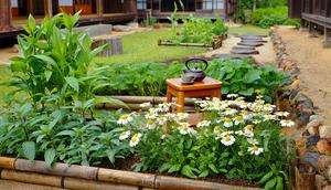 Ide Kebun Produktif ala Rumah Jepang di Desa (AI)