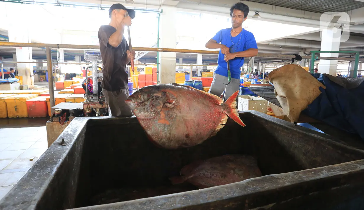 Pekerja mempersiapkan ikan di Pasar Ikan Modern Muara Baru, Jakarta, Jumat (8/10/2021). Nelayan Muara Baru menghentikan aksi mogok bongkar muat terkait penolakan PP No 85 Tahun 2021 mengenai naiknya tarif Penerimaan Negara Bukan Pajak (PNBP) sektor perikanan. (Liputan6.com/Herman Zakharia)