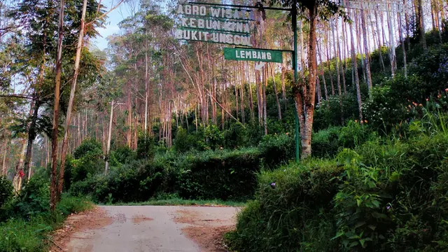 Agrowisata Bukit Tunggul