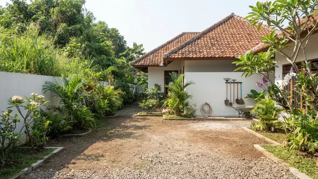 Cara Mencegah Ular Masuk Rumah