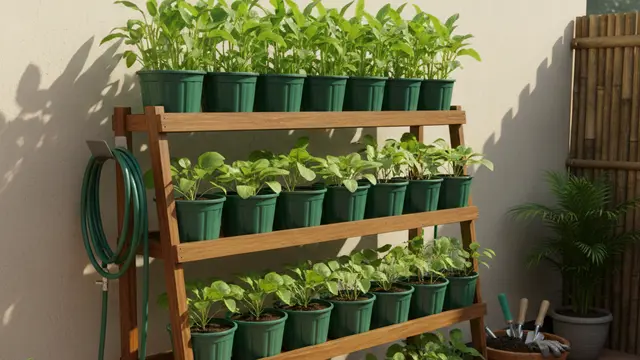 Desain Kebun Sayur Rumahan yang Cocok untuk Kangkung dan Bayam (Foto: Gemini AI)