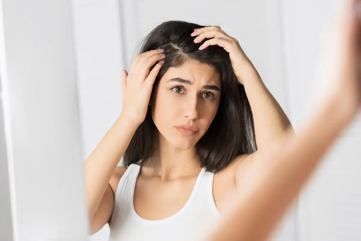 Rambut - Vania