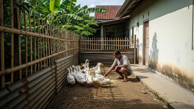 Kebutuhan Pakan dan Biaya Operasional untuk Itik Mojosari vs Bebek Alabio