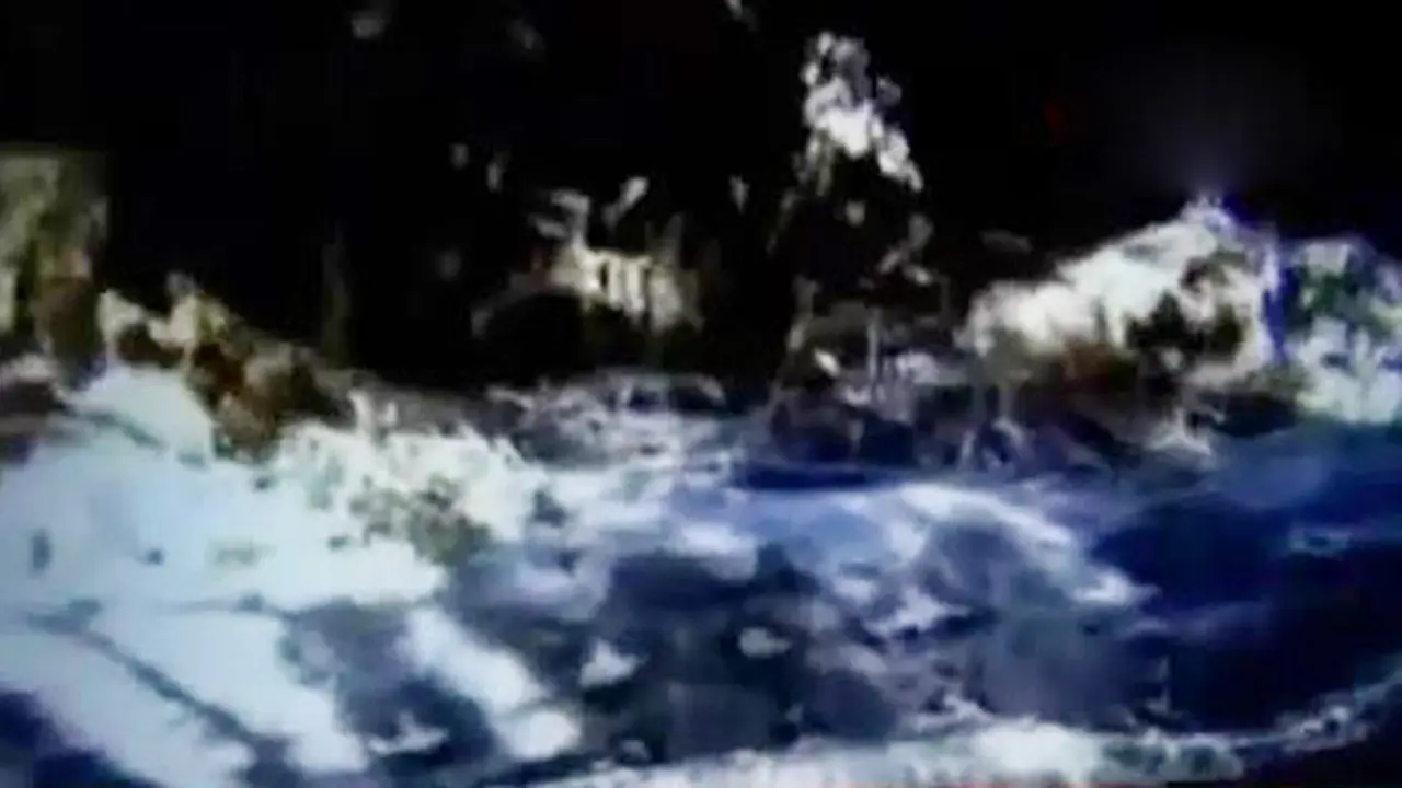 Ular Piton Pemakan Petani di Mamuju Dikuburkan
