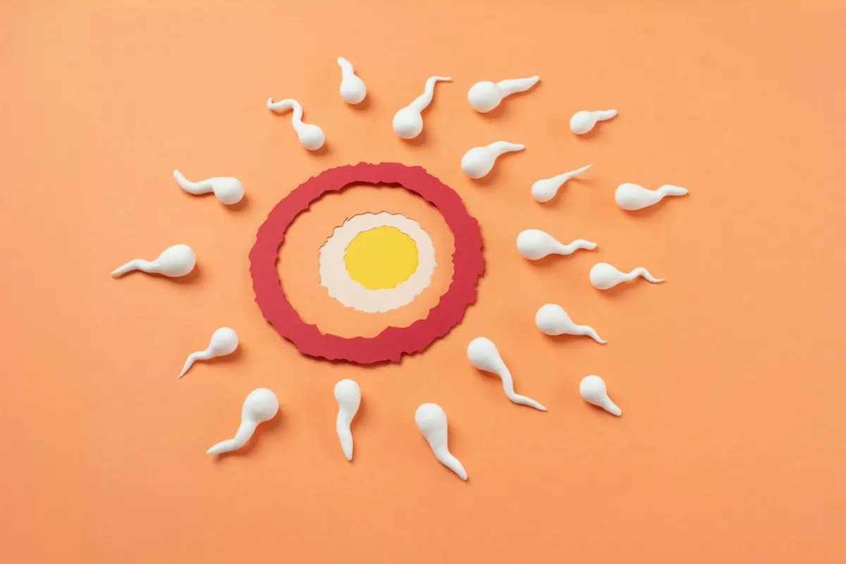 Ilustrasi Sperma