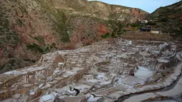 Pemandangan tambak garam Maras di Peru, 27 April 2019. Tambak yang pada zaman pra-Inca menjadi sumber garam untuk berbagai keperluan itu kini menjadi salah satu tempat wisata.  (Pablo PORCIUNCULA BRUNE/AFP)