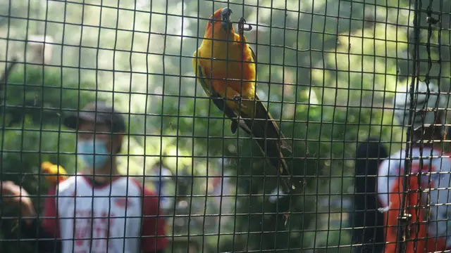 Kebun Binatang Bandung
