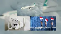 Top 3: Wanita Salah Pesawat Paling Sedot Perhatian