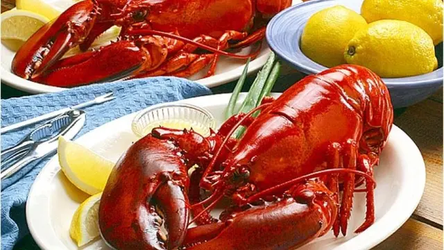 [Bintang] Udang Selingkuh