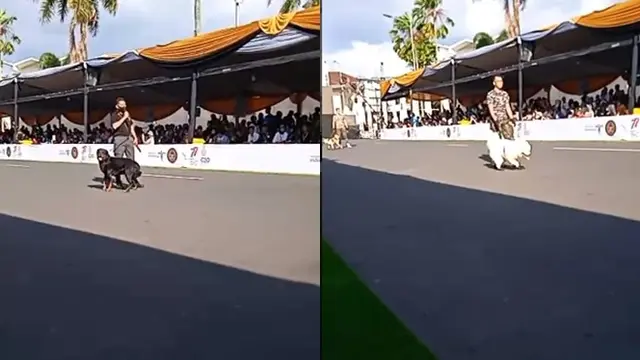 Semarak Jember Fashion Carnaval 2022, Para Satwa Juga Ikut Bergaya