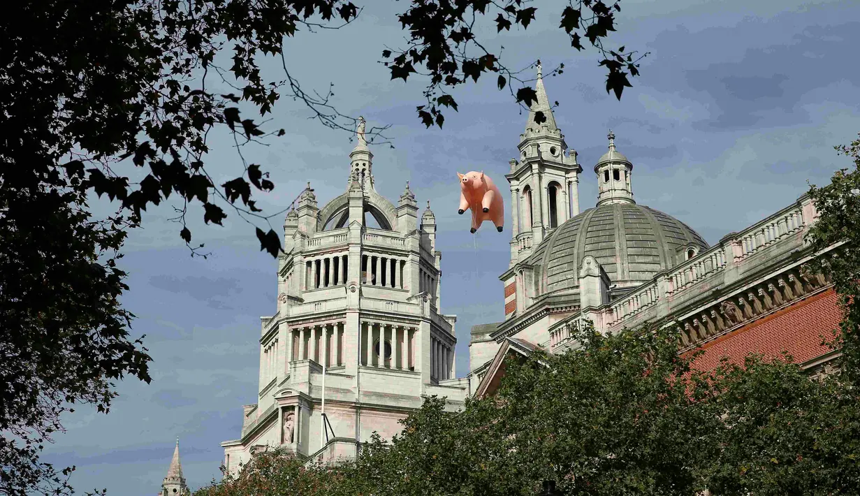 Balon udara berbentuk babi melayang di atas Victoria and Albert Museum di London, Inggris, Rabu (31/8). Balon babi berwarna pink itu untuk mempromosikan pameran grup band "Pink Floyd" yang akan dibuka mulai bulan Mei 2017. (REUTERS/Peter Nicholls)