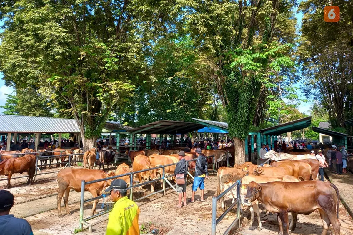 Dinas Perkebunan dan Peternakan Provinsi Kalimantan Selatan Kalsel