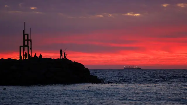 Sculpture by the Sea