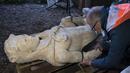 Patung Romawi kuno Hercules seukuran aslinya tergeletak di punggungnya di Taman Arkeologi Appia Roma, Senin (30/1/2023). Patung marmer Hercules "seukuran manusia" ini ditemukan pada hari Rabu lalu di Italia selama perbaikan sistem pembuangan limbah di Roma. (AP Photo/Domenico Stinellis)