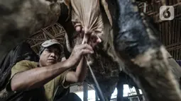 Pekerja saat memerah susu sapi secara manual di peternakan Mahesa Perkasa, Depok, Jawa Barat, Minggu (28/3/2021). Permintaan susu sapi perah di masa pandemi Covid-19 masih stabil, namun terkendala harga pakan yang mengalami kenaikan akibat kelangkaan bahan baku. (merdeka.com/Iqbal S. Nugroho)