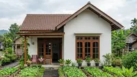 Cara Membuat Kebun Sederhana untuk Keluarga Kecil, Bantu Sediakan Bahan Pangan Segar
