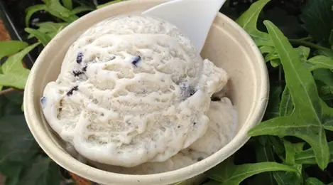 Tape es krim dengan kombinasi manis, asam, dan creamy, disajikan dengan topping kacang dan cokelat parut