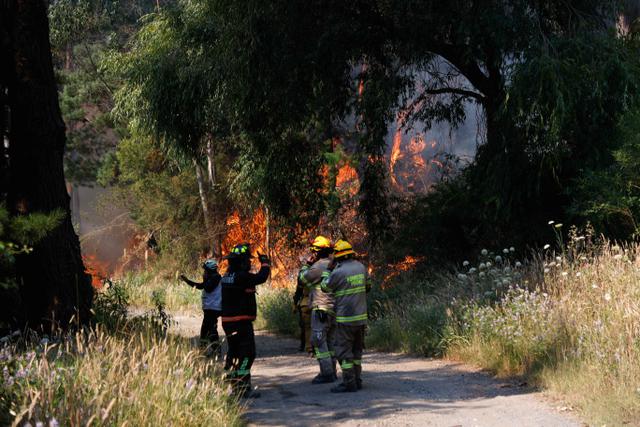 Kebakaran Hutan Chile, 18 Orang Tewas dan Puluhan Ribu Lainnya Mengungsi