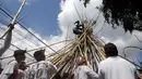 Seorang pria menaiki puncak tongkat kayu saat ritual Mekotek di Bali (11/11). Ritual ini dimainkan secara bersama-sama untuk merayakan kemenangan dharma (kebaikan) melawan adharma (kejahatan). (AP Photo/Firdia Lisnawati)