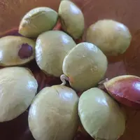 Meskipun memiliki bau yang tak sedap, namun kilau harga jengkol justru lebih tinggi dan stabil mengungguli harga daging ayam sekalipun. (Liputan6.com/Jayadi Supriadin)