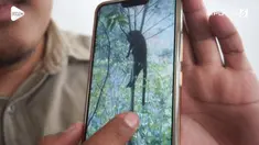 Dianggap membahayakan dan masuk ke pemukiman warga, seekor macan tutul terpaksa ditembak mati di Kabupaten Bandung.