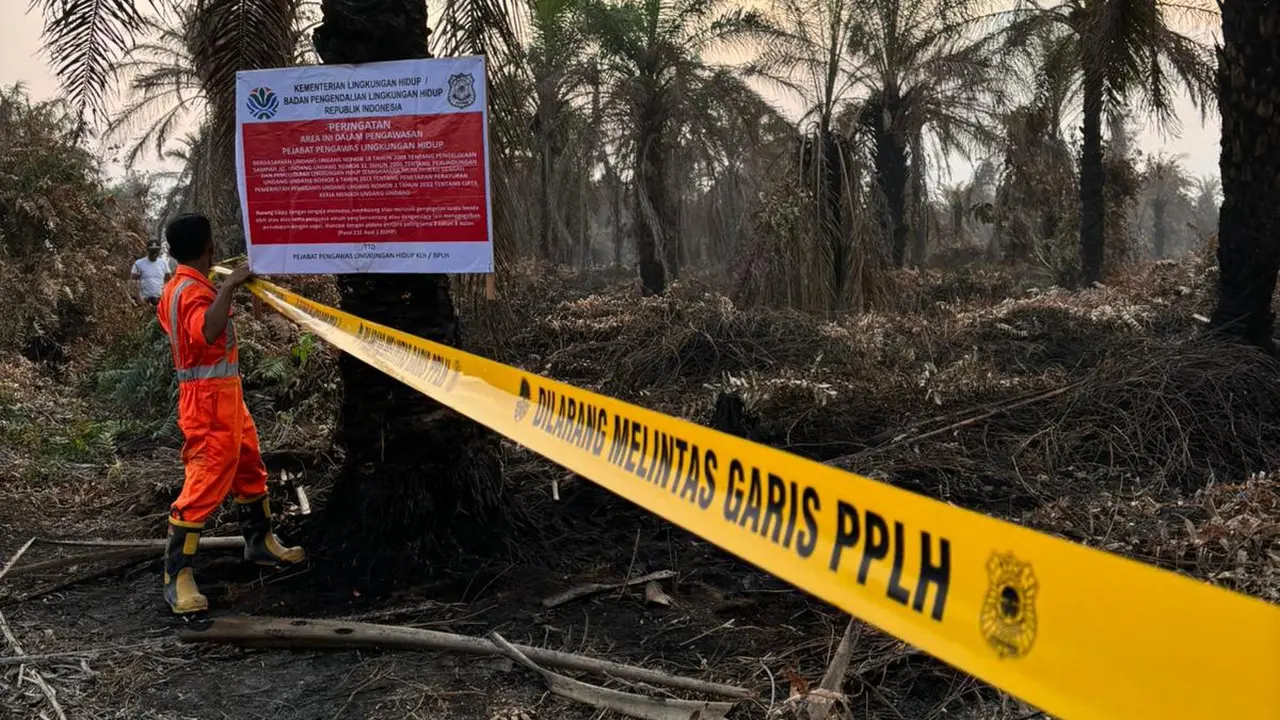 Petugas Kementerian Lingkungan Hidup menyegel lahan perusahaan yang diduga menyumbangkan kabut asap
