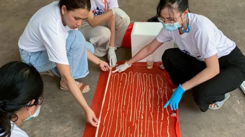 Mengeluh Sakit, Dokter Temukan Cacing Pita Sepanjang 18 Meter di Perut Pria Ini