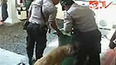 liputan6