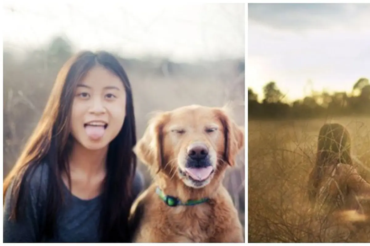 Foto : copyright boredpanda.com
